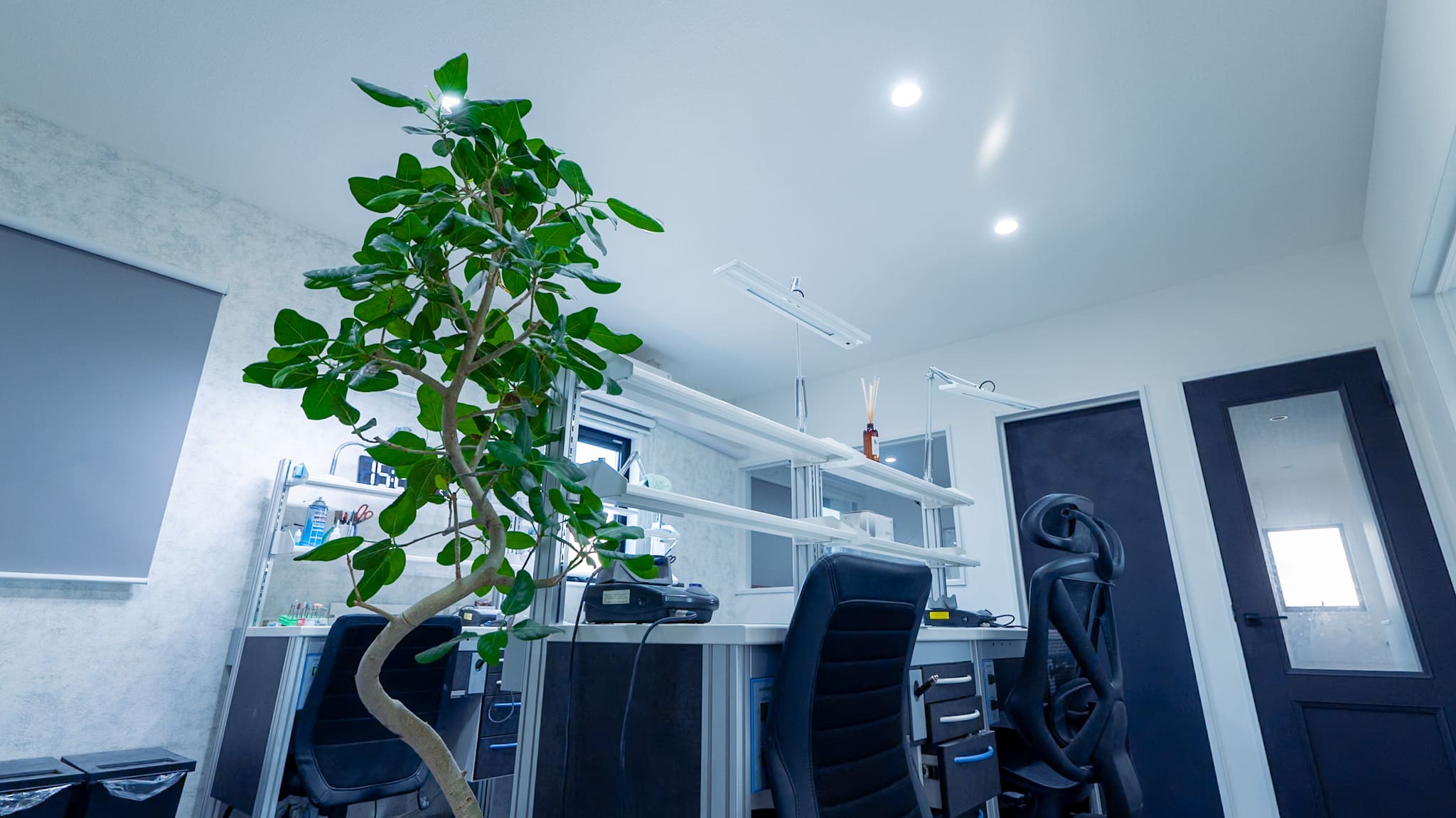 Our Services